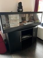 Terrarium, Dieren en Toebehoren
