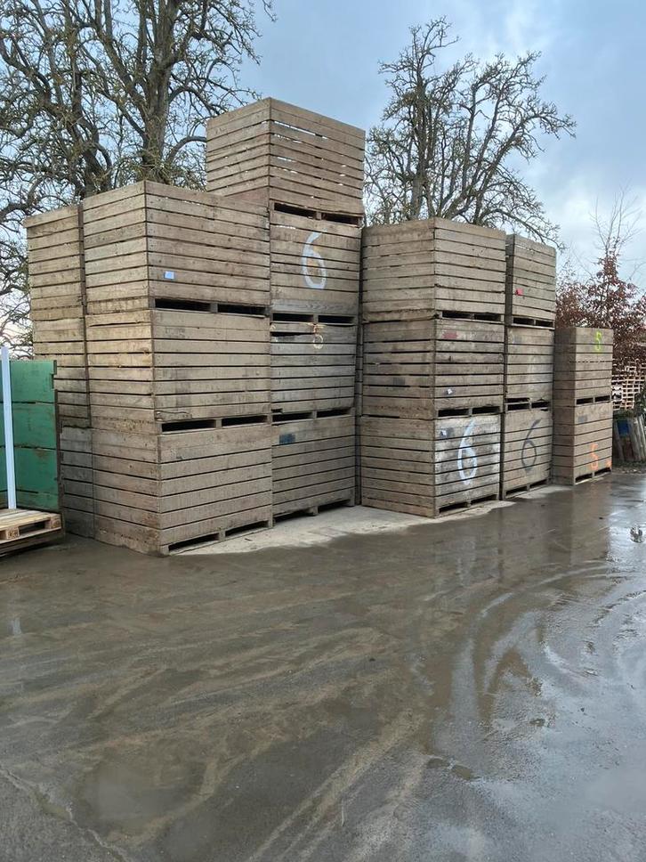 Kisten, Articles professionnels, Agriculture | Pommes de terre, Légumes, Fruits & Viande, Enlèvement