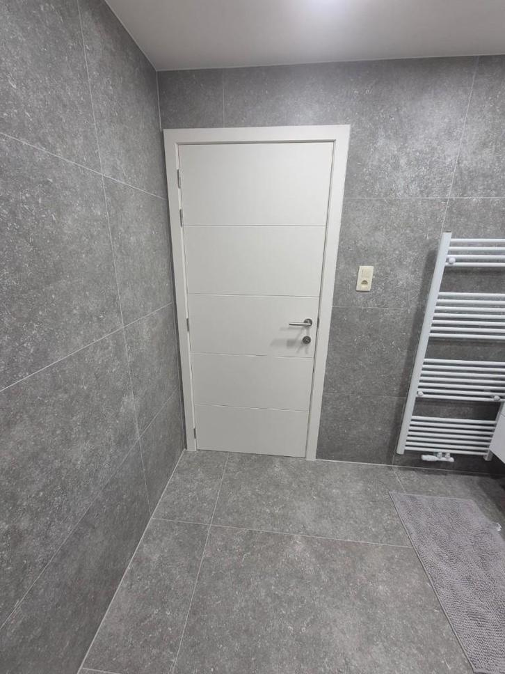 gyproc - gyprocwerken - deuren - kitwerk - schilderwerk, Doe-het-zelf en Bouw, Platen en Panelen, Nieuw, Ophalen of Verzenden