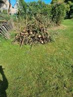 Gratis af te halen in 3120 Tremelo Ninde

Op afspraak alstub, Tuin en Terras, Ophalen, Overige soorten