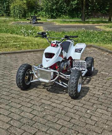 quad apex 100cc 2t