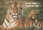 TIJGER  MET  WELP, Verzamelen, Postkaarten | Dieren, Ophalen of Verzenden, Ongelopen, Wild dier