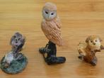 Mooie en leuke uiltjes, Ophalen of Verzenden, Nieuw, Dier