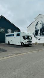 Camion chevaux - horsetrucks - motorhome, Autos, Achat, Entreprise, 2 places, Bleu