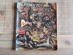 Pictura '75, Ophalen of Verzenden, Gelezen, Overige onderwerpen