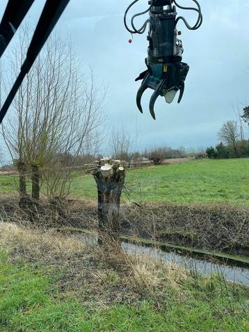 Knippen van hout beschikbaar voor biedingen