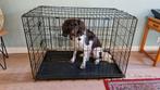 Hondenbench bench hond, Animaux & Accessoires, Caisses pour chiens, Comme neuf, Enlèvement