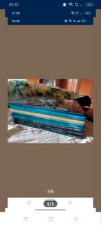 BD carthago tomes 1-2 réédition, Boeken, Stripverhalen, Ophalen of Verzenden, Zo goed als nieuw