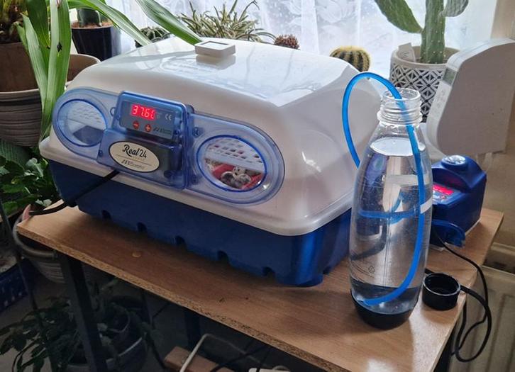 Broedmachine Borotto, Dieren en Toebehoren, Pluimvee | Toebehoren, Zo goed als nieuw, Broedmachine, Ophalen