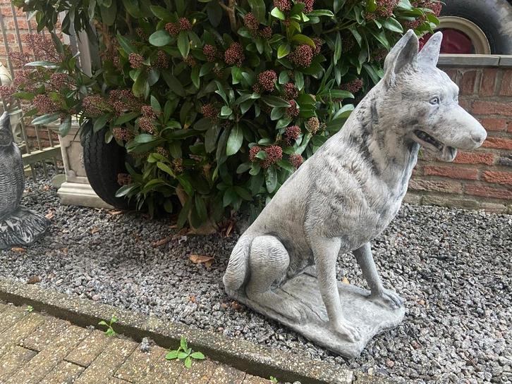 Herdershond, Tuin en Terras, Tuinbeelden, Nieuw, Dierenbeeld, Beton, Ophalen