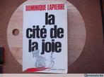 La cité de la joie, Dominique Lapierre, Enlèvement, Utilisé