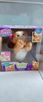 Daisy Cat, Ophalen of Verzenden, Zo goed als nieuw, Poes