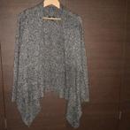 Gilet, Maat 38/40 (M), H&M, Nieuw, Ophalen of Verzenden