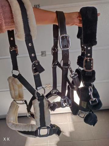 3 degelijke halsters NIEUW beschikbaar voor biedingen