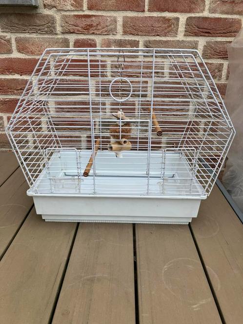 WITTE KANARIE KOOI MET TOEBEHOREN NU 25 EURO, Dieren en Toebehoren, Vogels | Hokken en Kooien, Zo goed als nieuw, Vogelkooi, Overige materialen