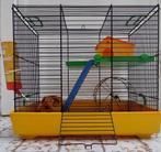 Hamsterkooi en speelbal te koop, Enlèvement, Utilisé