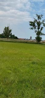 Weidegang op prachtige locatie, Weidegang