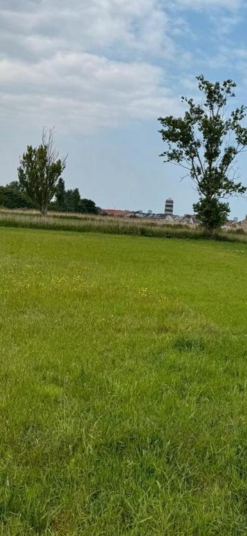 Weidegang op prachtige locatie beschikbaar voor biedingen