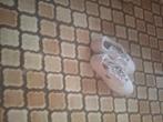 Schoen, Kleding | Heren, Schoenen, Ophalen, Wit, Nieuw, Adidas