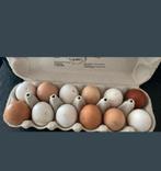 Eieren te koop0,35 cent in koersel, Dieren en Toebehoren