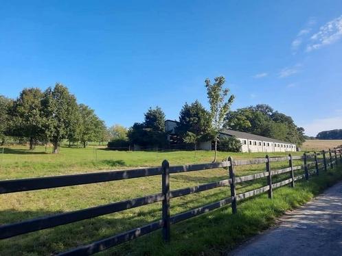 Pension chevaux sur presles, Dieren en Toebehoren, Stalling en Weidegang
