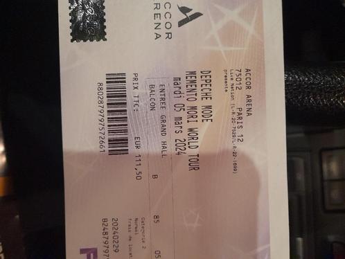 2 places concert Depeche Mode 5 mars Paris, Tickets & Billets, Concerts | Autre, Deux personnes, Mars