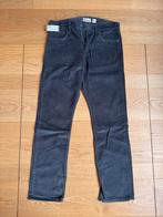 PATAGONIA - Ribfluwelen broek maat 32/32 - NIEUW !, Maat 52/54 (L), Nieuw, Ophalen of Verzenden, Patagonia