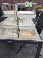 6 baby kooien zie omschrijving, Dieren en Toebehoren, Ophalen, Zo goed als nieuw, Metaal, Broedkooi of Kweekkooi