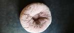 Kussen Kat / hond - Cozy Donut - 50x50x17cm Grijs - 1st, Dieren en Toebehoren, Ophalen, Nieuw, Polyester
