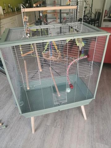 Cage pour perruches  beschikbaar voor biedingen