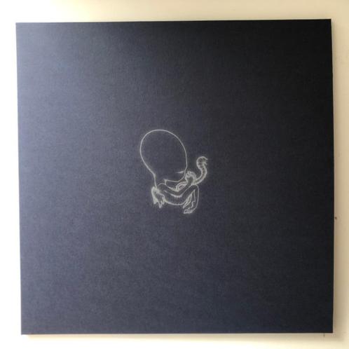Sigur Ros ‎– Ágætis Byrjun - genummerde deluxe box set, Cd's en Dvd's, Vinyl | Overige Vinyl, Nieuw in verpakking, Ophalen of Verzenden