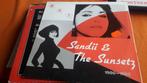 Sandii & the sunsetz ( Ruichi Sakamoto ), Ophalen of Verzenden