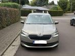 Skoda Fabia Fabia SW 1.0 TSI Black Edition DSG (bj 2019), Automaat, Stof, Beige, Bedrijf