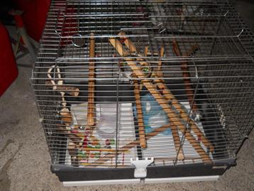 Cage à oiseaux, perroquets, Animaux & Accessoires, Enlèvement, Utilisé, Cage à oiseaux