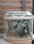 Aquarium 60 liter, Dieren en Toebehoren, Ophalen