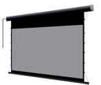 Projectiescherm HD/4K/UHD zwart elektrisch remote 106 inch, Ophalen, Elektrisch, Zo goed als nieuw