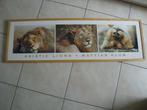 cadre triptyque lion, Ophalen, Zo goed als nieuw, 100 tot 125 cm, Minder dan 50 cm