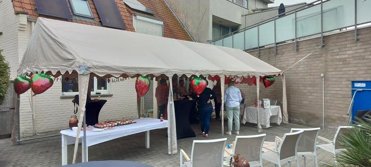 Tent 4x8 te huur, Tuin en Terras, Partytenten, Ophalen