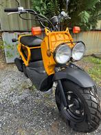 Honda Zoomer 50cc, Motoren, Motoren | Honda, Particulier, 50 cc