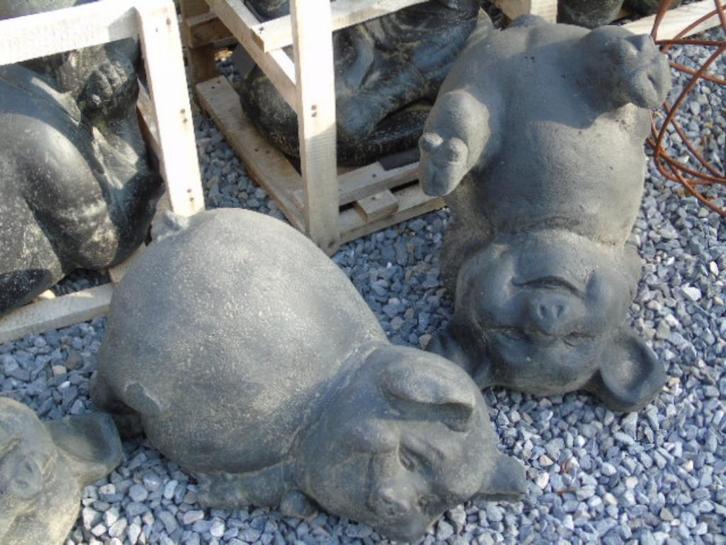 Grappig varken op de rug in Stone Pat, nieuw en te koop!, Tuin en Terras, Tuinbeelden, Nieuw, Dierenbeeld, Steen, Ophalen