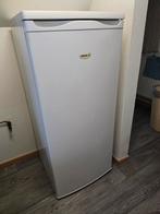 Diepvries FRIAC 140 L A+++, Elektronische apparatuur, Vriezers en Diepvrieskisten, Ophalen