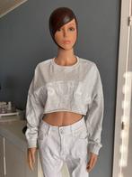 Nieuwe cropped sweater, Jean Louis Françoise, Ophalen of Verzenden, Nieuw, Grijs