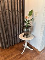 Koperen pot bloempot plant strelitzia reginae, Ophalen