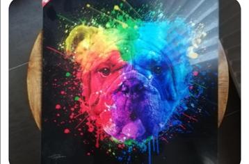 Kader engelse bulldog, Enlèvement