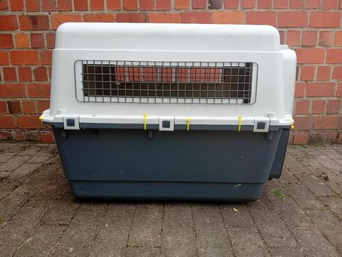 Bench voor vliegtuig, Dieren en Toebehoren, Hondenbenches, Gebruikt, Ophalen