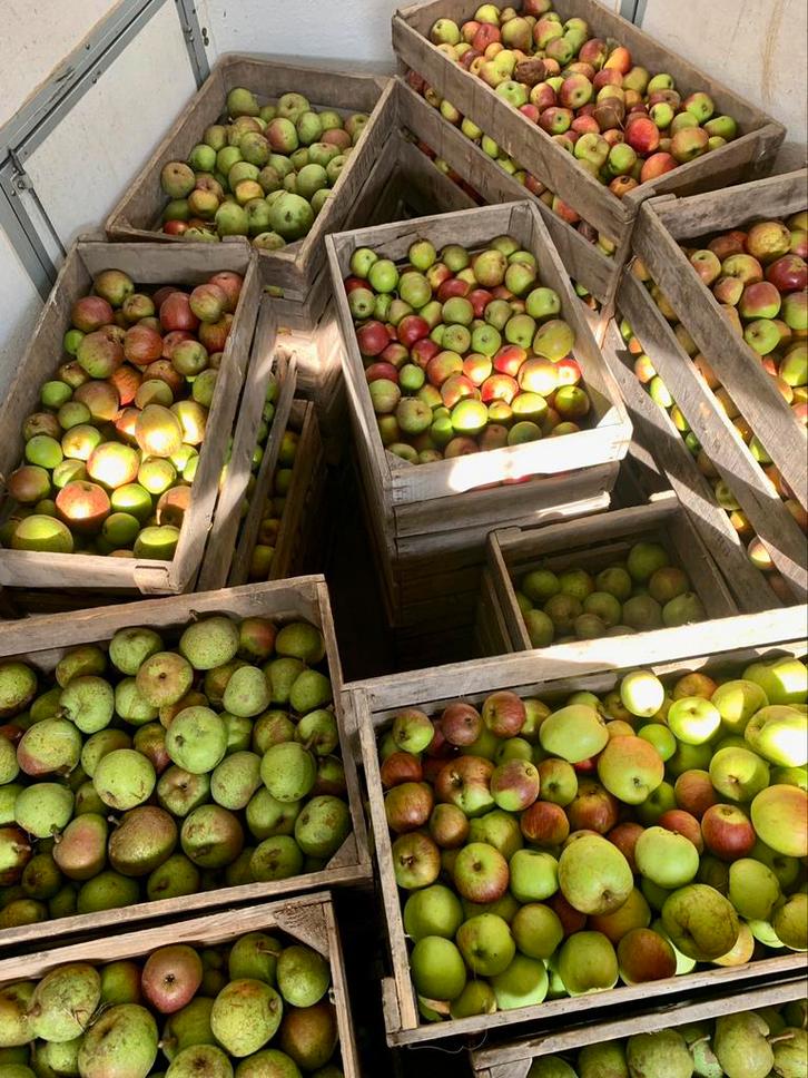 Bio appelsap oogst 2025, Diversen, Levensmiddelen, Ophalen