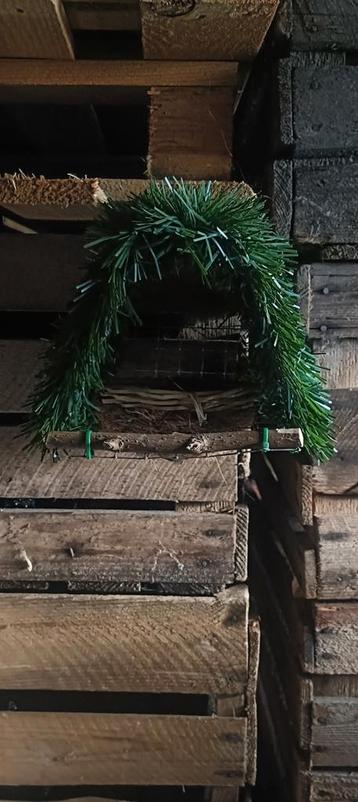 Wildzangnestjes met groene aankleding  beschikbaar voor biedingen