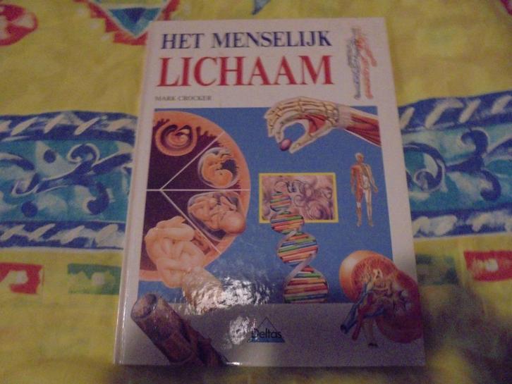 Het Menselijk Lichaam, Boeken, Wetenschap, Zo goed als nieuw, Ophalen of Verzenden