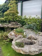 Bonsai - Japanse tuin, Jardin & Terrasse, Plantes | Arbres, Enlèvement