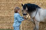 Prachtige Spaanse kinder pony, Gechipt, L, 7 tot 10 jaar, Dressuurpony